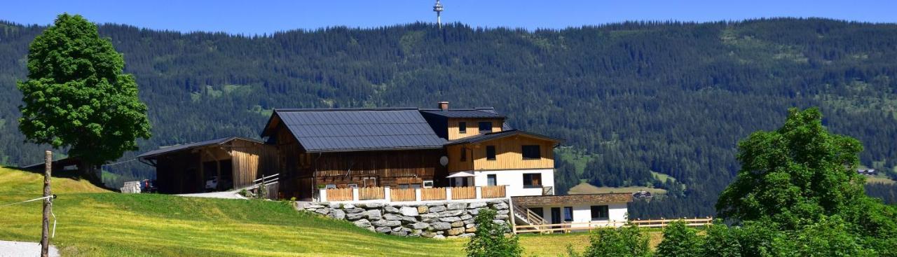 Gut Maierlehen Apartment Radstadt Ngoại thất bức ảnh